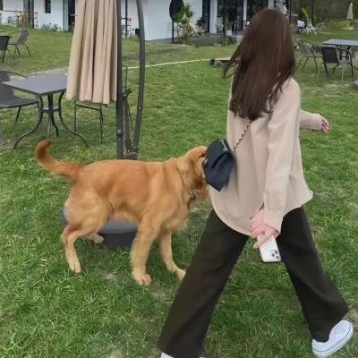 想见你